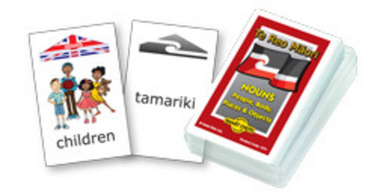 Smart Chute Cards - Te Reo Maori Noun Cards
